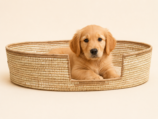 The Sandstone — Kwanzaa Handwoven Pet Bed