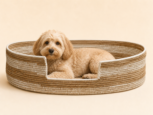 The Natural — Hai Handwoven Pet Bed