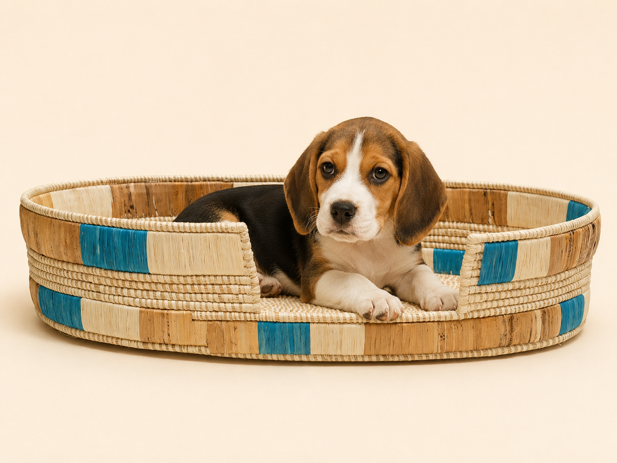The Riviera — Banana Stalks Handwoven Pet Bed